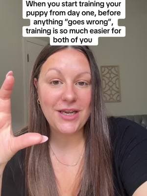 If you want to lay a solid foundation with your puppy, create good habits, but without the guess work and with someone guiding you every single day, grab all of the details of my 1:1 online puppy training program in my b!o #labradorretrieverpuppy #goldenpuppy #bernesepuppy #puppyprep #preparingformynewpuppy #newpuppy #newpuppytips 