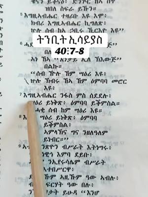 #ኦርቶዶክስ_ተዋህዶ #tigraytiktok #ኦርቶዶክስ⛪ተዋህዶ⛪ለዘለዓለም🙏 #eritreantikto #ኦርቶዶክስ 