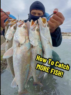 Fishing a SPILLWAY for Massive Fish!!🔥🎣  We used the Power Prawn from Salt Strong to catch our dinner and PB Speckled Trout!🔥🤯  #Saltwater #Baits #Lures #Spillway #Massive #Texas #Tutorial #Fishing #GGAnglers 