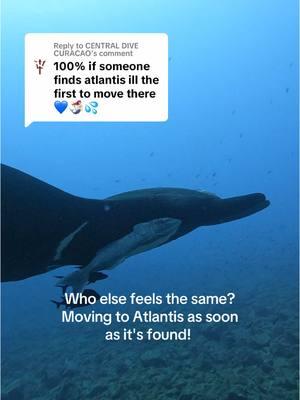 Replying to @CENTRAL DIVE CURACAO moving to Atlantis as soon as it's located! Who is with us? #underwater #manta #atlantis #water #moving #safertogether #scuba #diving #itsbetter 