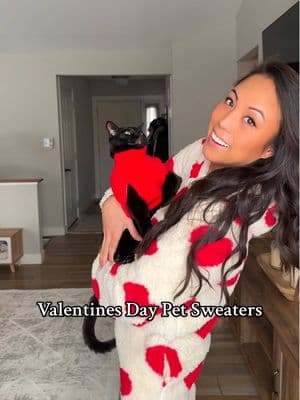 They make the cutest, grumpiest, little valentines 😂❤️🩷🤍 These are size Medium #purrfect #happyvalentinesday #bemyvalentine #ValentinesDay #valentinesdaysweater #petsweater #cutecats #tortie #void #catsoftiktok #PetsOfTikTok #catmom #furbabies #sweaterweater #vdayphotoshoot #VDayOutfit 