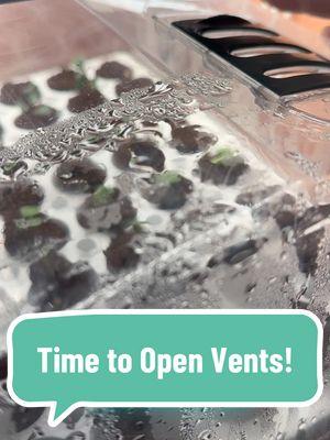 Our seeds in the @ParkSeed Bio Dome are sprouting! 🌱 Most of them have already popped up, so I’m opening the top vents today to get some airflow going. Tomorrow, I’ll probably take the lid off completely once the rest have sprouted. How are your seeds coming along? Let me know! 👇 #SeedStarting #BioDome #Sprouts #GrowYourOwnFood #growfood #growyourfood #gardening #growingfood #vegetablegarden #vegetable #fromseedtospoon #seedtospoon #indoorseedstarting