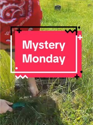 At least we have Mystery Monday right? It’s time for the weekly installment of your favorite research #tiktok where you get to help with the story! Let me know in the comments what you find out ❤️ #gravegeeks #mysterymonday #gravetok #taphophile #cemetery #research 