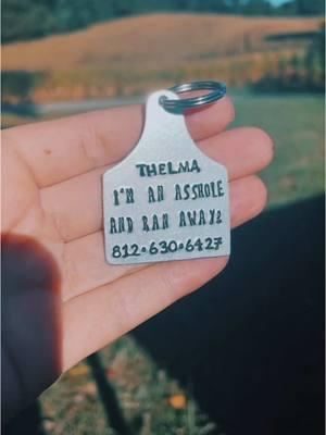 Custom Hand Stamped Pet ID Tags 🏷️ #rareriverworks #handmade #handcrafted #handstamped #stampedmetal #dogs #dogtags #cowtag #dogmom #dogparent #petidtags #dogsoftiktok 