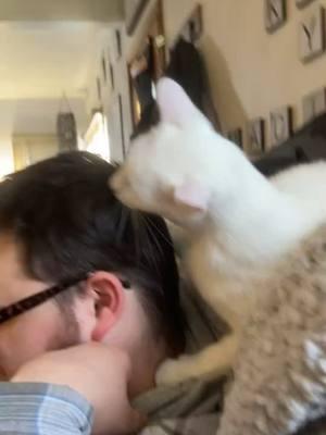 Just a normal conversation while getting cleaned from the cat 🐈 #catsarefunny #visting #fyp #cats #foryoupage #funnyvideo #xzybca #kittycat #viral 