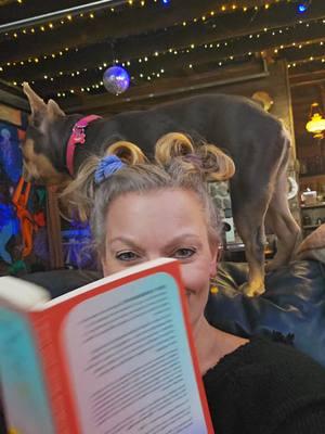 #bannedbooks #bocksjukejoint #getbockedup #ohio #magicalbarnairbnb #BookTok #books #read 