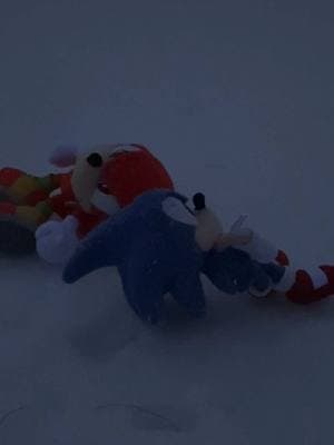 Sonicand Knuckles saw the water of ice under the snow #sonicandknuckles #sonic #sonicthehedgehog #snowday #icebreaking #cold #funny 