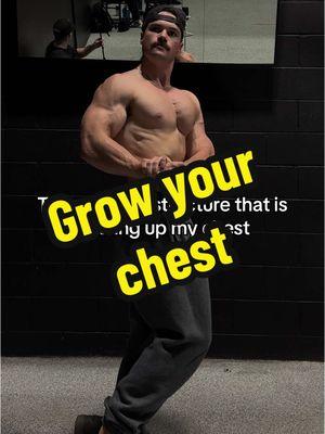 Grow your chest with this chest day structure! — DM “coach” for 1 on 1 coaching!  #chestdayworkout #chestdaytips #GymTok #fyp 