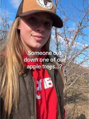 Random & unnecessary rudeness from someone to go onto private property and cut down a perfectly good, productive apple tree ☹️ I’m not sure what excuse this person has for their behavior but there’s not much we can do about this kind of vandalism… Hope your Monday is better than ours😅 farm on:) #washington #pnw #fruittree #cosmiccrisp #farmlife #farming #agriculture #vandalism #applegirl #apple #orchard #smalltown 