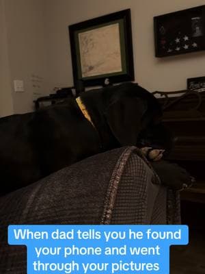 We didn’t even know she had a phone!! #canecorso #italianmastiff #textmessages #iphonephoto 