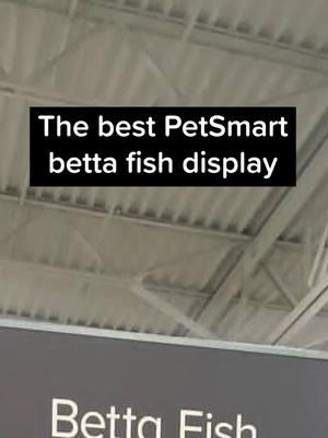 (@ moons2hi on IG) shared these images from their local PetSmart store -- a betta fish display with completely empty shelves. It's unclear why the display is empty, but isn't it a powerful image? Maybe they should keep it this way. If major pet chains can't find more ethical ways to display betta fish, like transitioning them away from the cup system, then they should stop selling them entirely. @PetSmart  #betta #bettafish #aquarium #bettalover #fishwelfare #animalwelfare #fishkeeping 