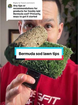 Replying to @Tony this is probably the most important thing to remember with freshly laid grass sod #lawncare #lawnmaintenance #gardening 