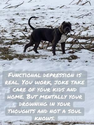 Functional depression awareness #depression #functionaldepression #staystrong #anxiety #notalone #thestruggleisreal #godhasmecovered #everythingwillbeokay #xlbully #bluebully #powertrainbullies #roscoe 