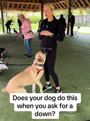 #fyp #DogTraining #dogtrainer #puppytips #positivereinforcement #dogtrainingtips 