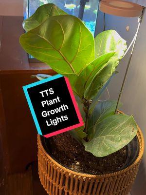 Plant growth lights! #tts #TikTokShop #tiktok #plants #garden #lighting #ttsdeals #tiktokdeals #indoorplants #ttsjumpstartsale #jumpstart #mom #ttshopdeals 