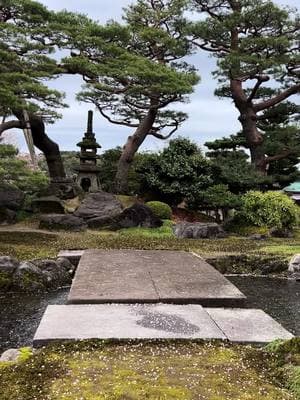 To be in a place with this much peace again.  #kenrokuen #kenrokuengarden #garden  #japan #japanesegarden #nature 