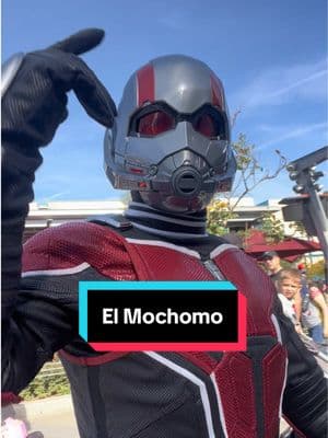 Como si fuera Mochomo..  #endisneylandia #disneylandia #🇲🇽 #🇲🇽🏰 #elmochomo #elpotro #antman