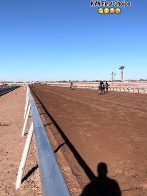 West Texas Futurity Trails ready.   #fyp #fypシ #caballosdecarreras #tiktok #horses #merazhorseracing 