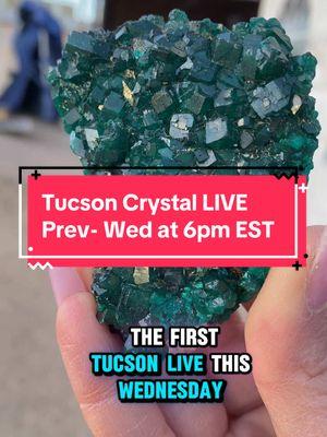 Come join me this Wednesday when I show some amazing dioptase, fluorite, tourmaline, pyrite, pyrite with galena, and some more! We will be LIVE at 6pm EST on TikTok with free shipping above $250! #dioptase #pyrite #fluorite #tucsongemshow #crystaltok #tucsongemshowlive #CapCut 