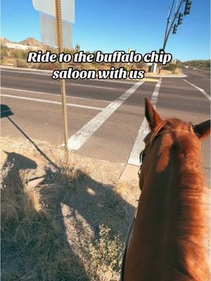 3.4 miles total riding to the chip from my house haha #equestrian #western #buffalochip #az #lgbtq #barhopping @ElHayGuy 