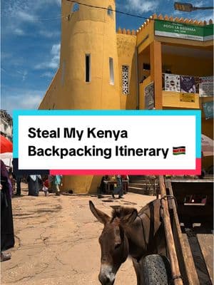 steal my Kenya travel itinerary y’all 🇰🇪 spent a lil over 5 weeks in Kenya last year and these were the highlights. Great way to hit so many things in a short amount of time, from snowy summits to white sand beaches, historic old towns and the famed grasslands of the Masai Mara, whew, didn’t know Kenya had a bag like this 🥵 #travel #travelblogger #kenya #travelafrica #backpacking 