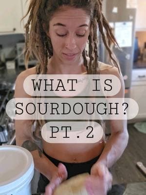 What is sourdough? #sourdough #sourdoughstarter #sourdougbread #sourdoughbaking #sourdoughdiscard