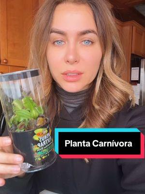 Planta carnívora  🌱 #plantacarnivora #carnivora #carnivorousplants #hipocresia #lol #nature #plant #yumyum 