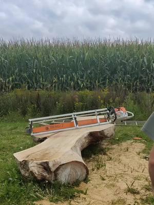 @ottawamilling crushing this elm log with his Granberg Alaskan Mill & Granberg Skip Rip chain. 🔥🔥🔥 If you don’t know about our Skip Rip chain check out our most recent highlight 🙌 Shop @ www.granberg.com ✅ #granbergskiprip #alaskanmills #madeinusa #elm #madewithgranberg