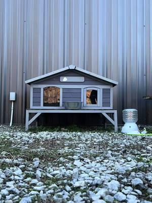 Installing a heating system in our feral Aivituvin cat house at the animal shelter ❤️ #catsoftiktok #savethecats #fetalcolony #feralcatcolony #ilovecats #cats #savethecats #adoptacat #adoptdontshop #animalshelteremployee #alabamacat #alabama @Aivituvin we love our cat house!!