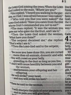 Genesis 3. The man and woman sin. #nltbible #genesis #pray 