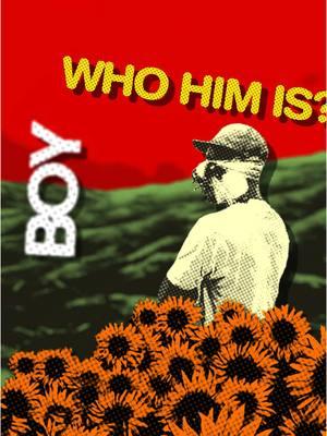 WHO DAT BOY #tylerthecreator #flowerboy #tylerthecreatoredits 