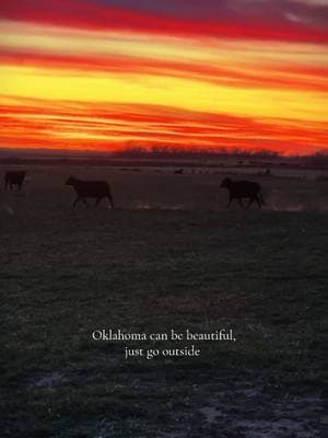 Oklahoma can be beautiful 😍                      #oklahoma #beaut #sunset #thisisoklahoma #gooutside #views #ranchlife #oklahomaranch #oklahomaskies #skies #america #agriculture #ranching #cattle #oklahomasunset #colorful #fypシ #fyp 