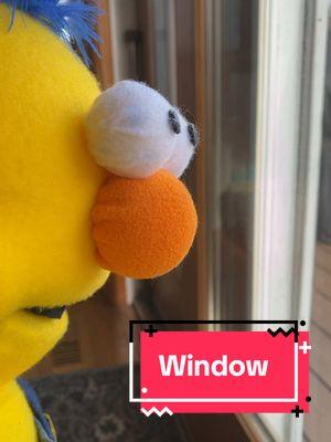 He’s having an identity crisis 👀 #dhmis #diydhmis #DIY #donthugmeimscared #yellowguy #window #diyyellowguypuppet #diypuppet #puppetry #yellowguysdhmis #creative #diyyellowguy #fyp #letsgetcreative #whatsyourfavoriteidea #itlooksbackinthroughme 