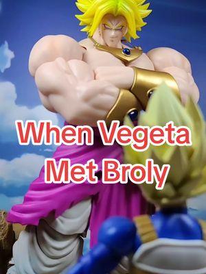 When Vegeta Met Broly #dragonball #dragonballz #dragonballsuper #db #dbz #dbs #dbzshfiguarts #shfiguarts #bandai #toeii #tamashiinations #pbandai #premiumbandai #collection #collector #anime #toys #toyphotography #anime #goku #vegeta #myshfdragonball #toyark #premiumbandaiusa #dragonball_nations #fyp #trending #broly #beastdeities #kong