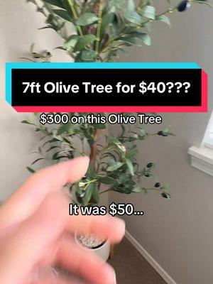 Lowkey aesthetic? #olivetree #apartmentdecor #decor #fakeplants 