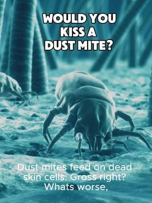 Ain’t nobody tryna smooch a dust mite 😂 #mattressvacuum #sanitize #uvlight #cleanwithme #dustmites #tiktokshopjumpstartsale 