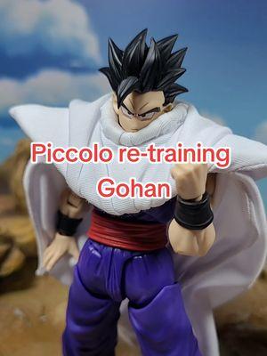 Piccolo Re-training Gohan #dragonball #dragonballz #dragonballsuper #db #dbz #dbs #dbzshfiguarts #shfiguarts #bandai #toeii #tamashiinations #pbandai #premiumbandai #collection #collector #anime #toys #toyphotography #anime #goku #vegeta #myshfdragonball #toyark #premiumbandaiusa #dragonball_nations #fyp #trending #gohan #piccolo