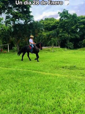 #lambertoquintero #antonioaguilar #28deenero #flypシ #sugerencias #caballosbailadores #mecixoskids🇲🇽 #california #importados #corridos #amigostiktok #paratiiiiiiiiiiiiiiiiiiiiiiiiiiiiiii #viralvideo #viralvideo #CapCut 