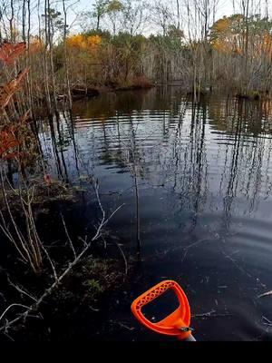 Beaver Dam Swamp After A Year Is Outta Control! 🤯😭😅 || Beaver Dam Removal! #beaverdamremoval #beaverdamswamp #beaverdam #gatorcreek #damremoval #beavers #dam #drain #draining #water #unclogging #terrellspivey #fypシ゚ #foryoupageシ #foryou #viralvideo #foryoupageofficiall #fyp #fyppppppppppppppppppppppp #tiktok #tiktokviral  #tiktokvideos #viraltiktokvideo 