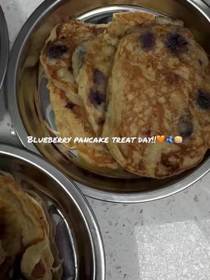 🐾🥞 Blueberry Pancake Bites! 🫐🍌 Made with love (and banana, blueberry, coconut oil, honey, and a sprinkle of joy) – these fluffy treats are the paw-fect snack to brighten your pup’s day! 🌞🧡 #dogtopia #dogdaycare #dogsoftiktok #dog #treats #dogtreats #pancakes 