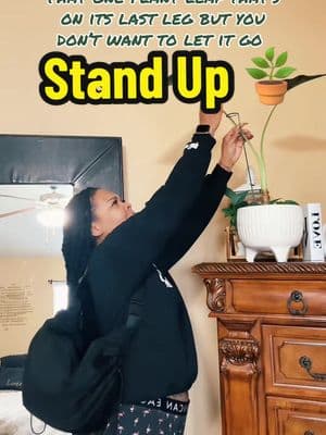 Stand up bookie 🌱 #plantlife #plants #greenleaf #blackplantmom 