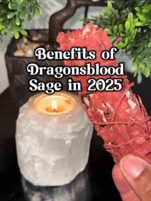 🌿 Harness the mystical power of Dragon's Blood Sage in 2025 - the Universal Year of 9! This ancient herb carries potent energies of transformation and spiritual growth, perfectly aligned with this year's energy of completion and wisdom. ✨ Known for its: - 🔮 Enhanced spiritual awareness and protection - 💫 Powerful cleansing properties - 🌙 Deepened meditation practices - ✨ Amplified manifestation work As we navigate 2025's transformative energies, Dragon's Blood Sage becomes your perfect spiritual ally. Let its sacred smoke guide you through this year of completion and new beginnings. 🕯️ #DragonBloodSage #Spirituality #Universal9 #SacredHerbs #Manifestation #SpiritualJourney #HerbalWisdom #2025Energy #SpiritualGrowth #NaturalHealing #svctribe #soulfulvibesco 