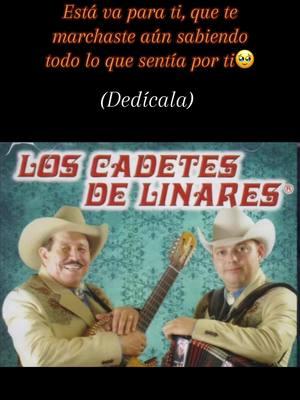 Yo siempre lloraré la ausencia de tu amor🥀 #loscadetesdelinares #alver #yosiemprellorarelausenciadetuamor #dedicala #adiosamor #fyp 