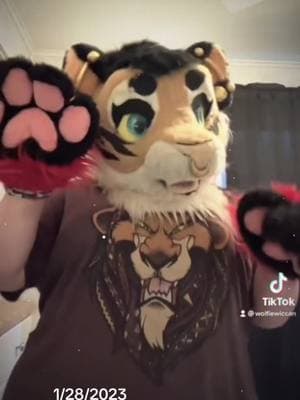 #onthisday now this is gonna be stuck in my head again help #fursuit #fursuiter #fursuiting #furrysafeplace #furrysafespace #ohiofurry #emofurry #scenecorefurry #furrymemes #furrymemesuwu #fursuitersoftiktok #furrytok #ohiofurs #ohiofurries #tigerfursuit #tigerfursuiter 