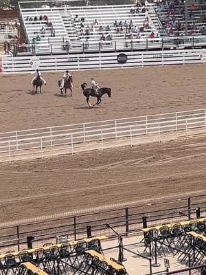 Bronc riding at the Cheyenne Frontier Days Rodeo. #Horse #Rodeo #Cheyenne #Wyoming #CheyenneFrontierDays #Cowboy #Horses #Stadium #West