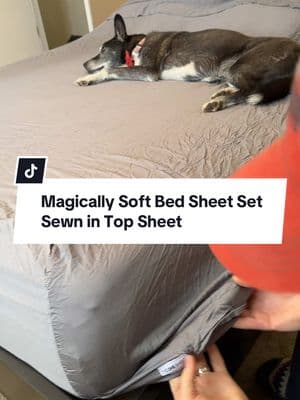 Replying to @romantically ill🦋 Imagine thinking $40 bed sheets are luxury Y’all really out here sleeping on sandpaper… The One Sheet by Sova is the only bed sheet set that actually makes sense No more tangled top sheets no more cheap microfiber no more fake thread counts Just a bed sheet set that stays in place feels like a hotel and makes your bed easier to make every morning If you’ve been settling for stiff scratchy low-quality bed sheets this is your sign to upgrade This breathable ultra-soft sheet set is selling fast on TikTok Shop and once you sleep on it you’ll never go back Get the One Sheet bed sheet set by @sleep.sova while it’s still in stock #topsheet #topsheettiktok #sheets #sheetset #sheetsset #sheet #sheetsets #bedsheets #bedsheet #bedsheetset #bottomsheet #fittedsheet #fittedsheets #fittedsheetchallenge #sova #sleepsova #ttslevelup #giftguide #TTSdelightNow #creatorboostcamp #TreasureFinds #TikTokShopJumpstart #TikTokShopLoveAtFirstFind #lovelanguage 