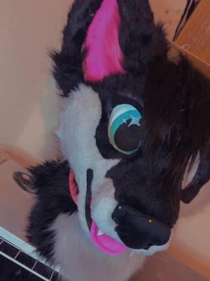 i looooove making wolves >u<  (commission, not for sale!) ˚　　　　✦　　　.　　. 　 ˚　.　　　　　 . ✦　　　 　˚　　　　 . ★⋆. 　　　.   　　˚　　 　　*　　 　　✦　　　.　　.　　　✦　˚ 　　　　 ˚　.˚　　　　　　.　　. 　 ˚　.　　　　 　　 　　　　 ✦ #fursuit #furry #fursuitmaker #furryfandom #furrycommunity #furryart #inajiffycreations #inajiffysuits #fursuitcommission #fursuithead #kemono #kemonomimi #therian #wolftherian #fursuitpaws