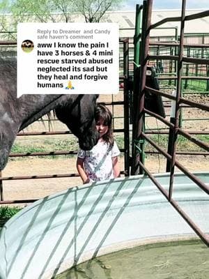 Replying to @Dreamer  and Candy safe haven she’s the best horse. #horsegirl #horses #horserehab #horserescue #arabianhorses #arkansasarabians #ararabiansupdate 