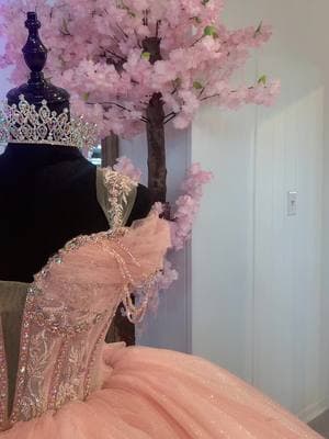 Brilla diva 🎀🌸#quinceañera #charlotte #quinceañera2025 #xvdress #matching #princess #fypシ #rosita #modafashion #vestidosde15 