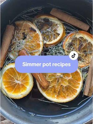 #simmerpot #simmerpotrecipes #witchcraft #witchesoftiktok 